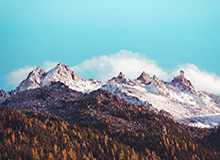 开云官网：开启云端新纪元，体验极致效率与安全的官方之选